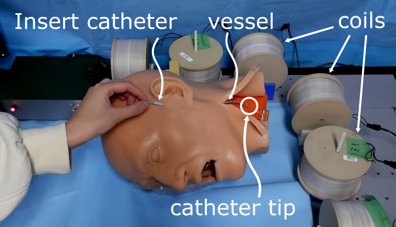 Experimental setup